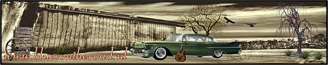 www.bluesontheroad.nl